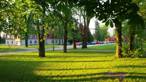Hotel Willa Park - Sylwester