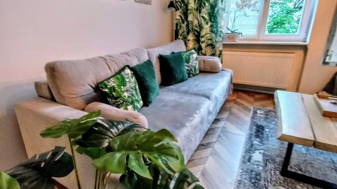 Apartament Mickiewicz - Center  - Sylwester