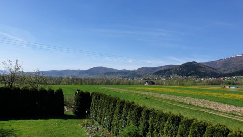 Liliowa - Sylwester