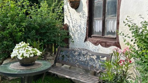 Apartamenty GOSZOWIANKA - Sylwester