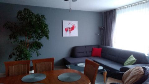 Domotel Tm Apartamenty W Centrum Miasta Tomaszów