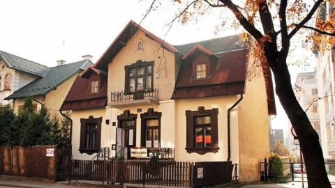 Willa Retro - Art Hostel. Prywatna willa w centrum z własnym ogrodem