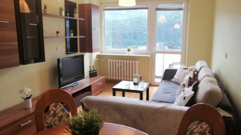 OliwaPark Apartment