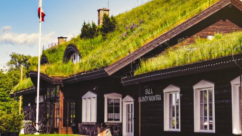 Pokoje pod dachem z trawą Karczmy Viking