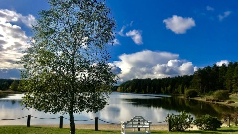 Duży Domek nad jeziorem z własną plażą i sprzętem wodnym, rowery, grzyby, kucyki - Sylwester
