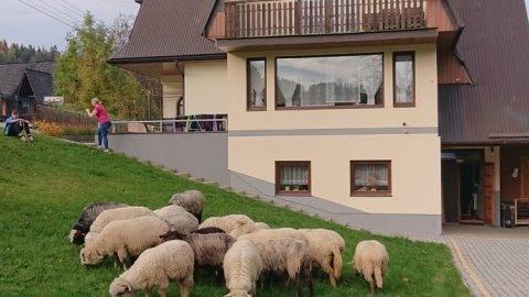 Noclegi w górach w Łapszance koło Białki Tatrzańskiej u Bożeny i Gienka