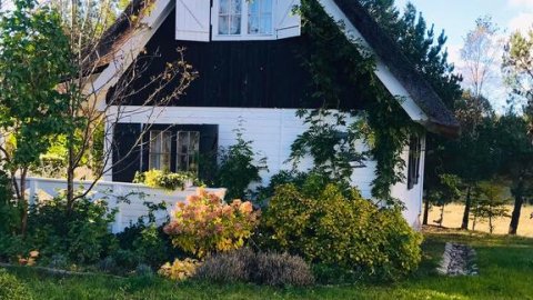 Mały Domek nad jeziorem z własną plażą i sprzętem wodnym, rowery, grzyby, kucyki - Sylwester