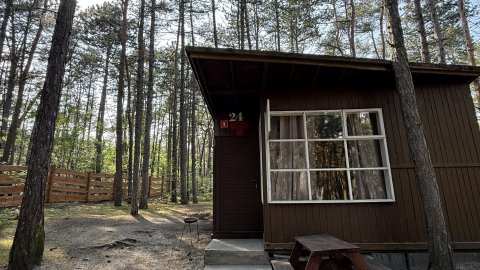 Kawena Gdańsk Wczasy nad morzem. Domki 2,3,4 osobowe drewniane z łazienkami. - Sylwester