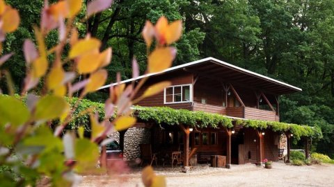 Basen Przesieka - drewniany dom z dużym stawem - Sylwester