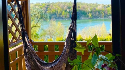 Dzika Cisza DOMEK CAŁOROCZNY - Sylwester