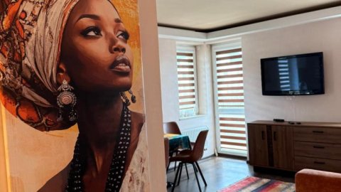 Afryka dzika - Sylwester