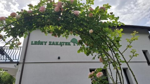 Leśny Zakątek - Sylwester