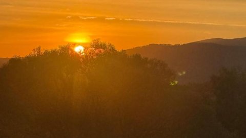 SkyChatka Zwardon - Sylwester