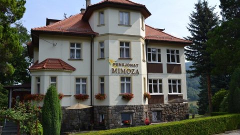 Pensjonat Mimoza - Sylwester