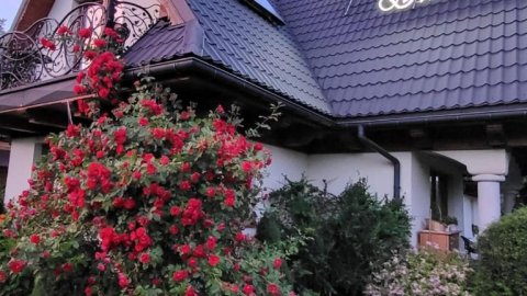 Witowiański Dworek - Sylwester