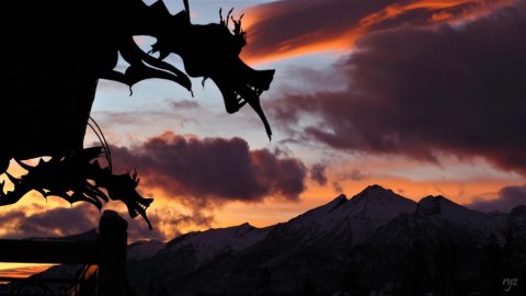 Dom pod Smokami - Sylwester