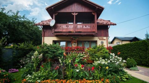 Szarotka Pienińska - Sylwester