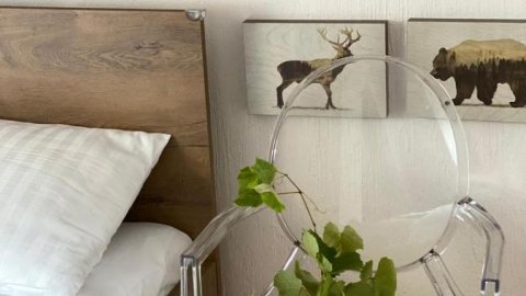 Zielone walizki - Sylwester