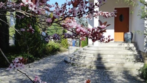 Apartamenty w Parku- Rydz Polanica Zdrój - Sylwester