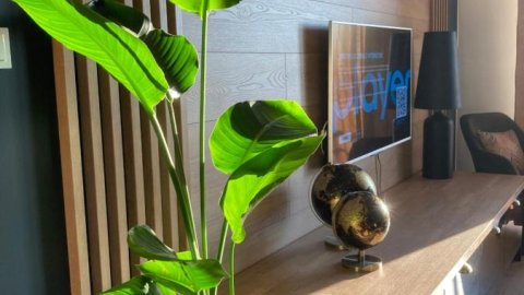 Apartamenty Termalne GREEN Apartment - Sylwester