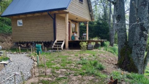 LESZCZYNOWY STOK - Sylwester