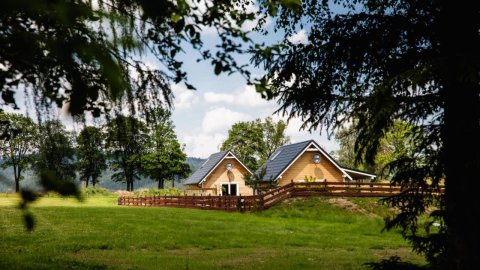 Alicjówka - domek - Sylwester