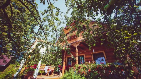 Miętowy Anioł - Sylwester