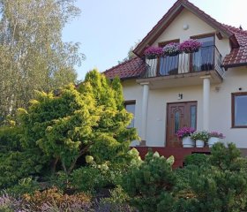 Przytulne Studio Borówkowy Zagajnik