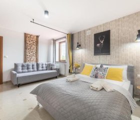 Biały Jeleń z basenem i jacuzzi