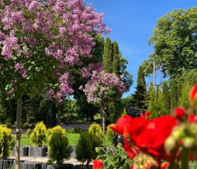 Apartamenty Arkadia przy Amfiteatrze