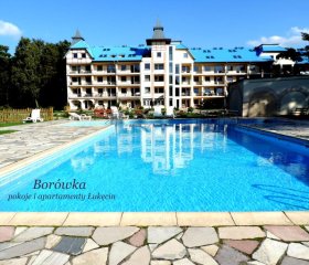 Borówka w Blue Mare