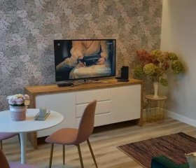 Apartament Wilkońskiego