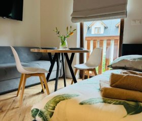 Apartamenty Homole