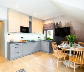 Apartament dwupoziomowy Szyszka