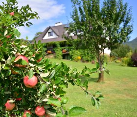 Werchowyna - pokoje i apartamenty z aneksami kuchennymi