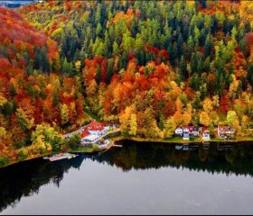 Fregata