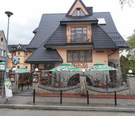 Brzoza w centrum Zakopanego