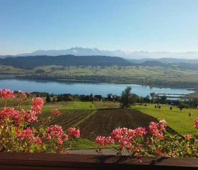 Pokoje u Chmielaków - Huba z widokiem na Jezioro Czorsztynskie Tatry i Pieniny Balia
