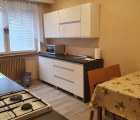Dom wolnostojący-pokoje dla pracowników