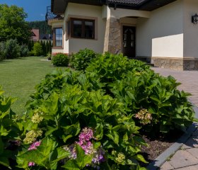 Hortensja Pokoje Gościnne