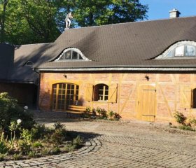 Violin house