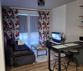 Apartament Wiki