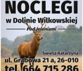 Święta Katarzyna ,, Pod Jeleniami "prawdziwymi 