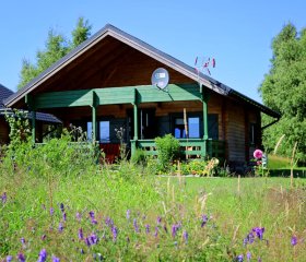 Domki nad morzem - Brzezina