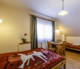 Pokoje w Czorsztynie nad jeziorem Czorsztyńskim zimą i latem .Zapraszamy 