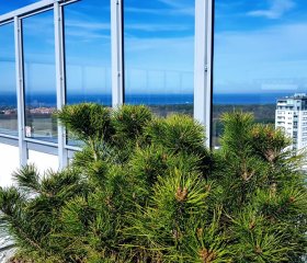 Apartamenty Morski 1 Cztery Oceany-Spokojny blisko plaży