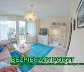 Biała Mewa