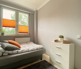 Sunny room