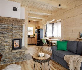 Tatra Wood House