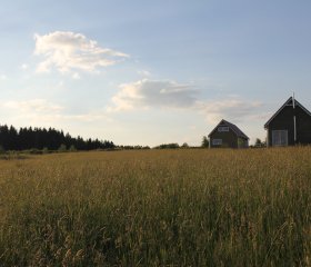 Przy Cisowym Jarze. Daleko od miasta, w ciszy i spokoju.